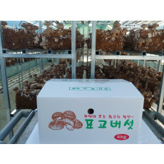 생표고버섯 중품 4kg